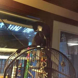 Meet your Posher, Nancy